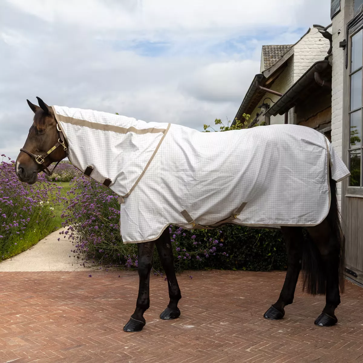 Sweet Itch Fly & Summer Sheet Comfort