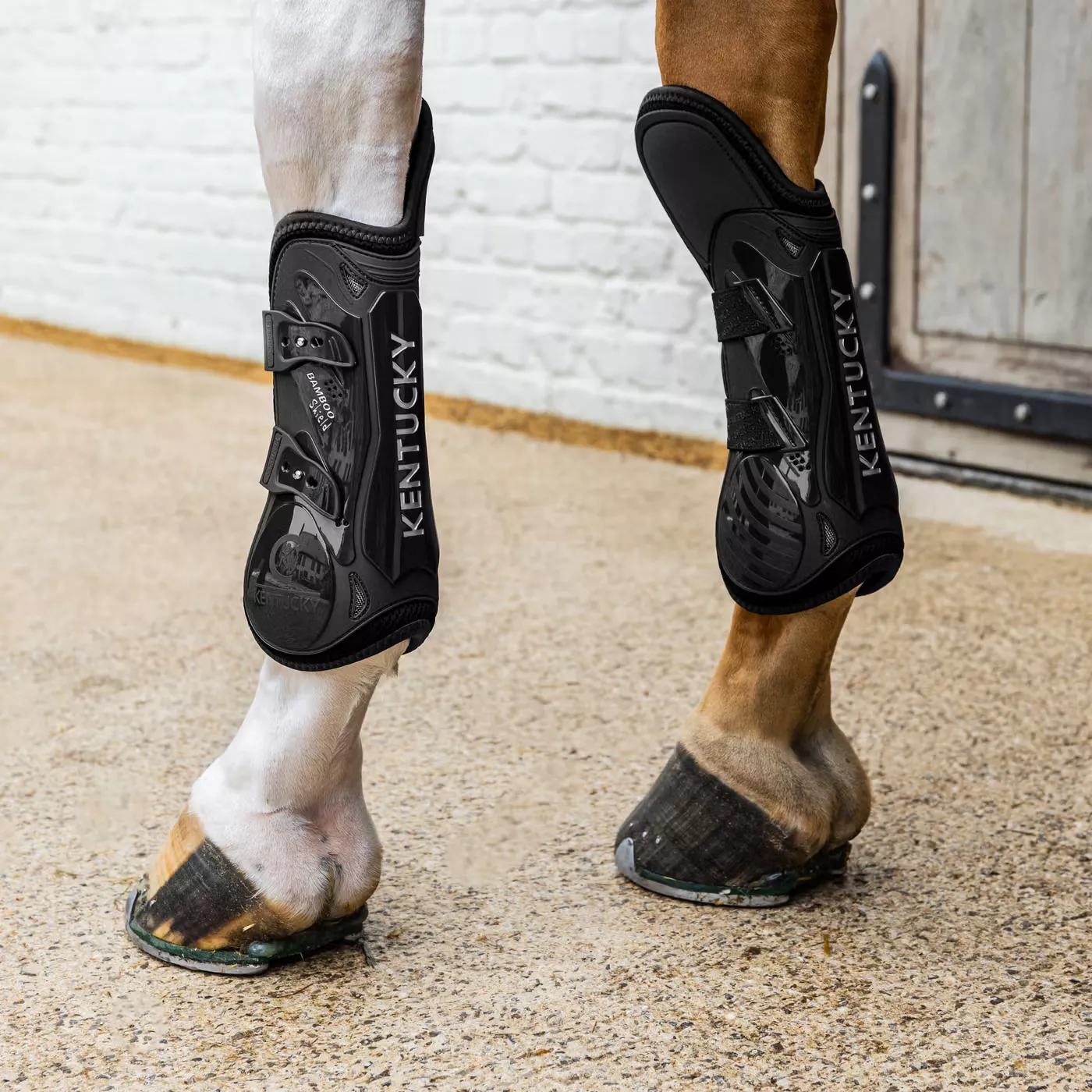 Tendon Boots Elastic with Knee Protection