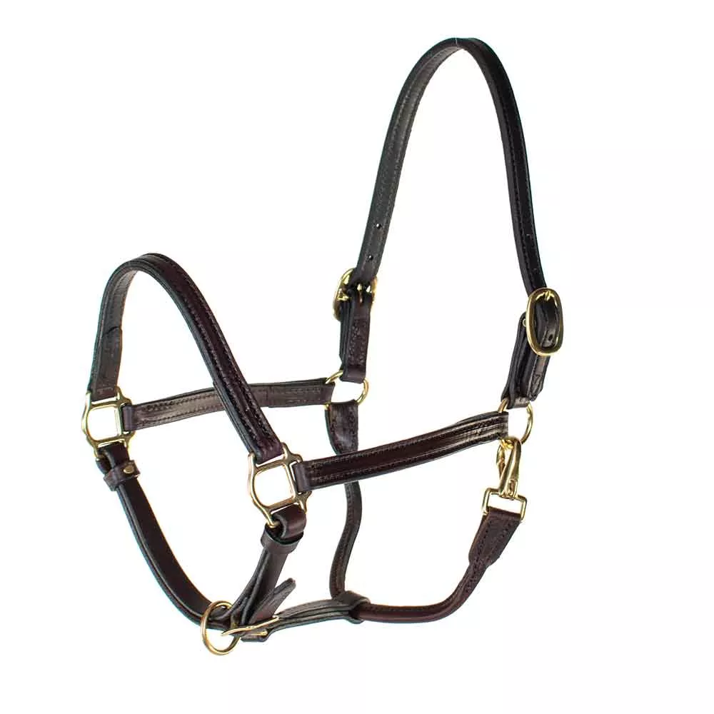 Teskey's 3/4" Track Halter