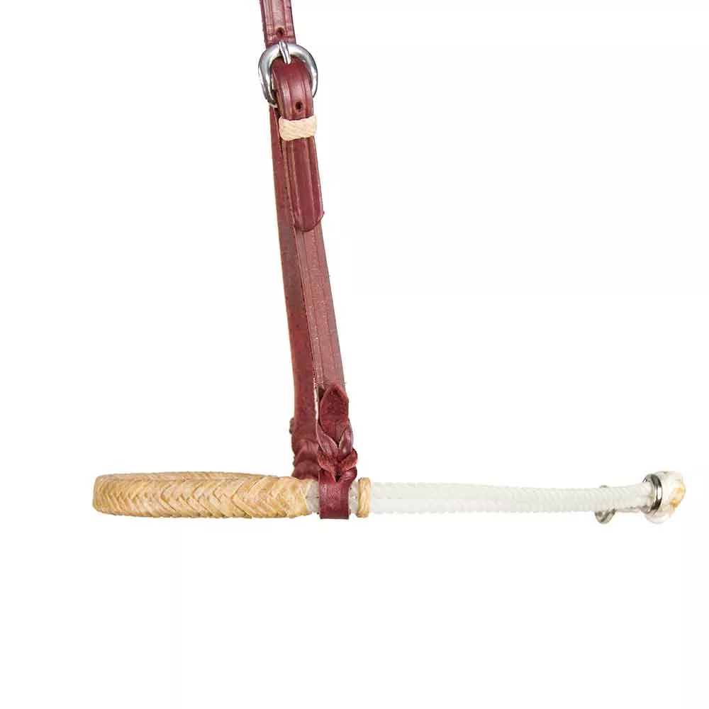 Teskey's Braided Rawhide Noseband