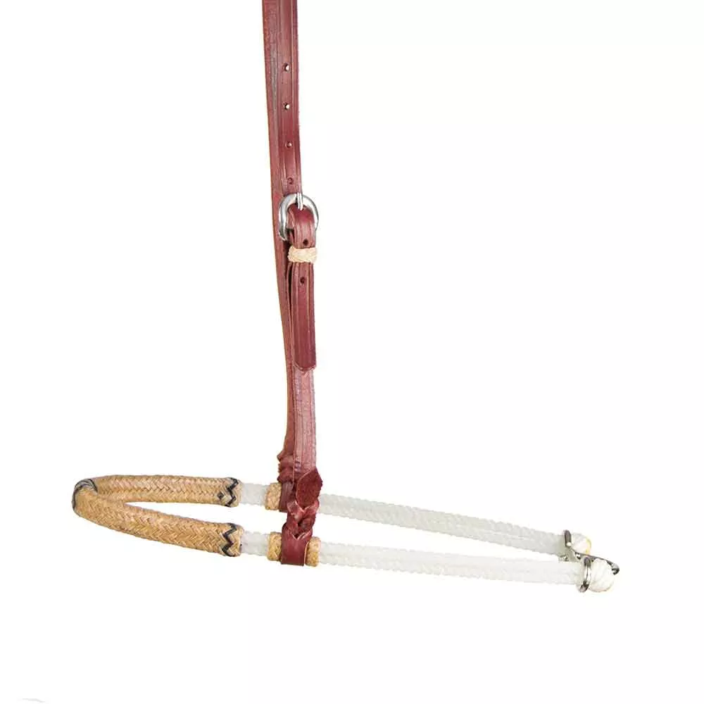 Teskey's Flat Rawhide Noseband