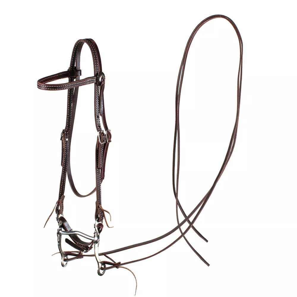 Teskey's Grazing Bit Bridle Rig