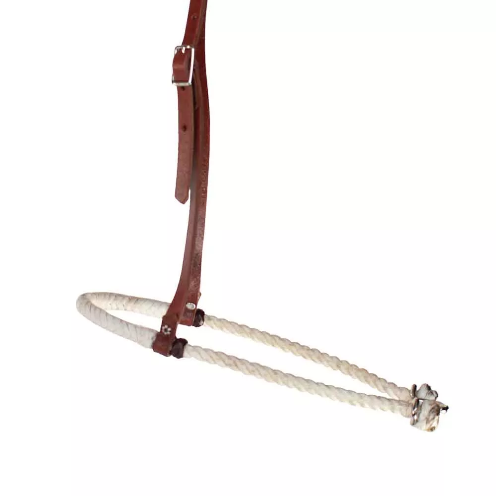 Teskey's Lariat Noseband with Rawhide Covered Nosepiece