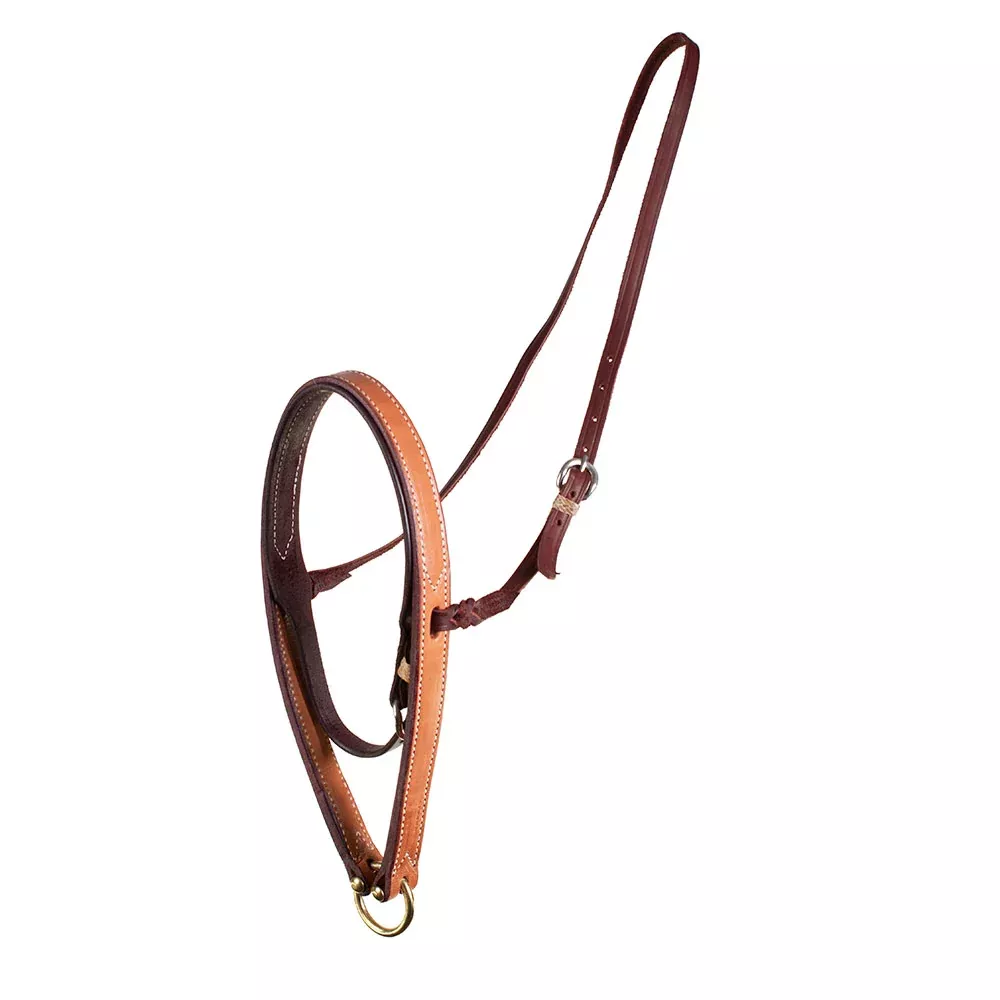 Teskey's Noseband and Cavesson