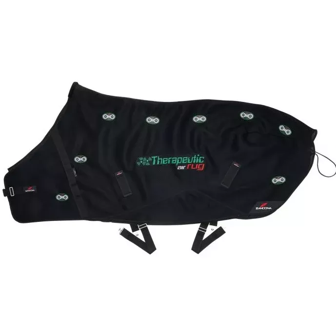 Therapeutic Magnetic Air Rug
