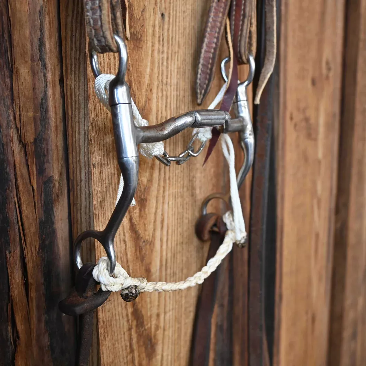 Toklat Myler Low Locking Hinge Bridle Rig w/Single Ear Headstall