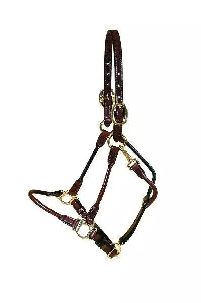 Tory Leather Arab Halter - Brass Hardware