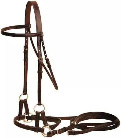 Tory Leather English Sidepull With Reins