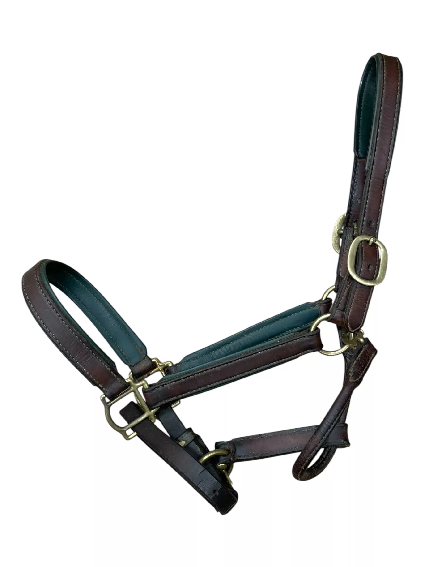 Tory Leather Halter - Brown/Green - Est. F/S - USED