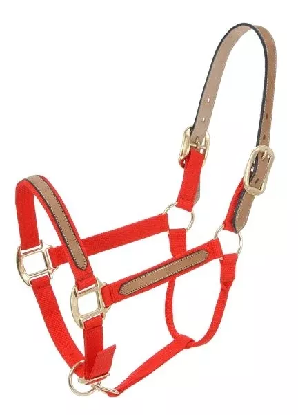Tough-1 6 Pack Nylon Breakaway Halter