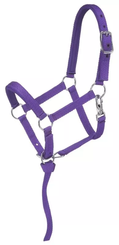 Tough1 Nylon Deluxe 3/4" Padded Miniature Halter