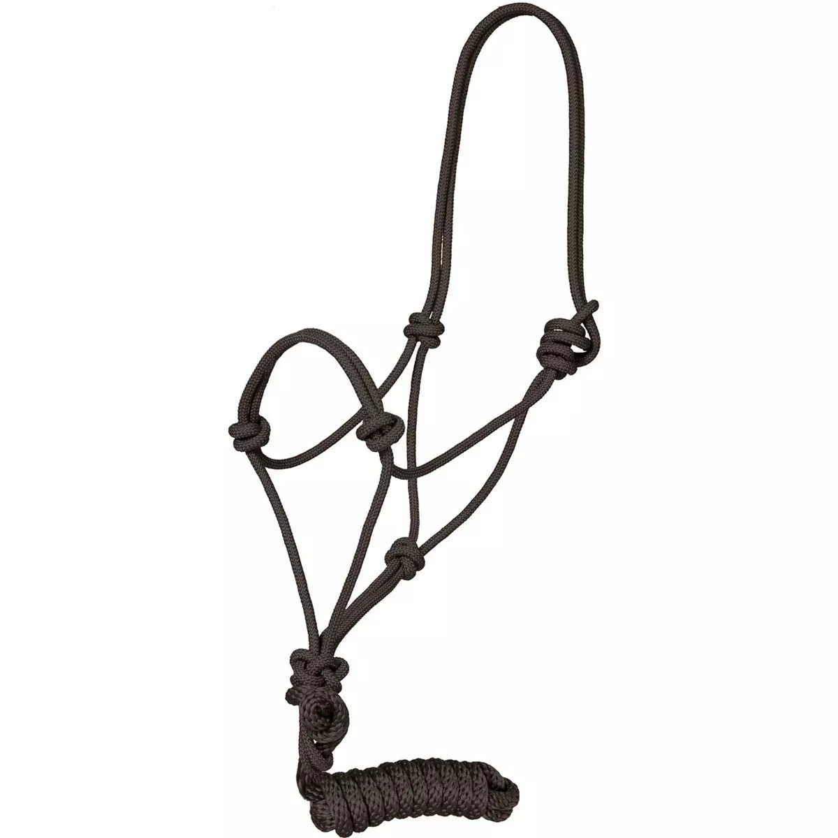 Traditional Rope Halter w/Lead