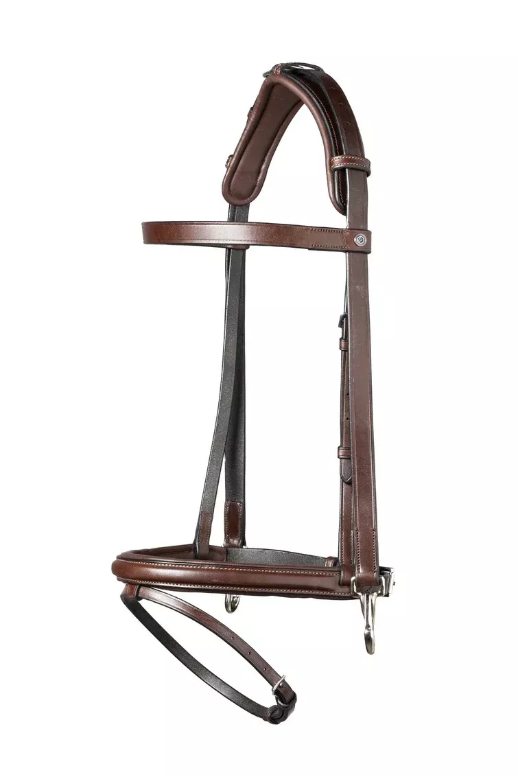 Training Bridle Hamburg