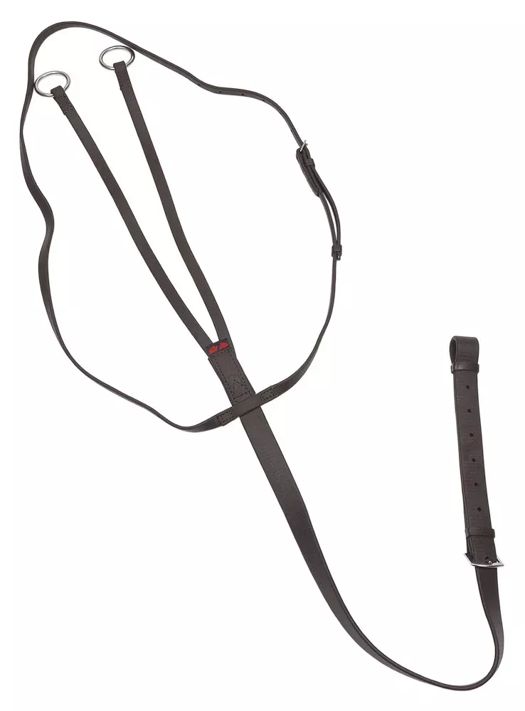 Training Running Martingale