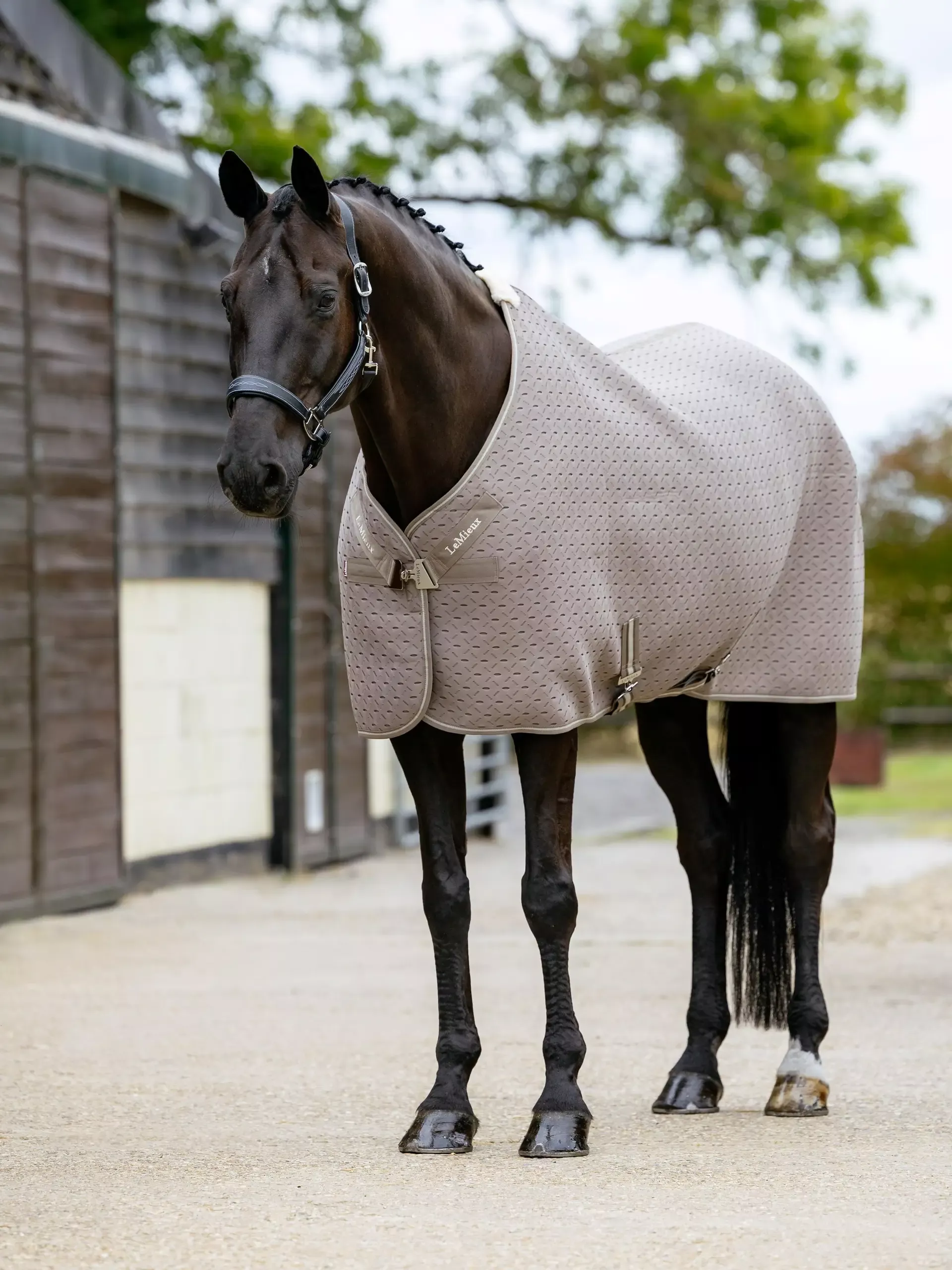 Transport Rug 3D Mesh Kudos Pecan