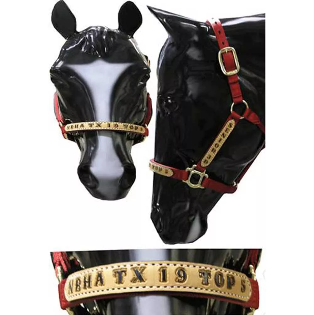 Trophy Halter #4.