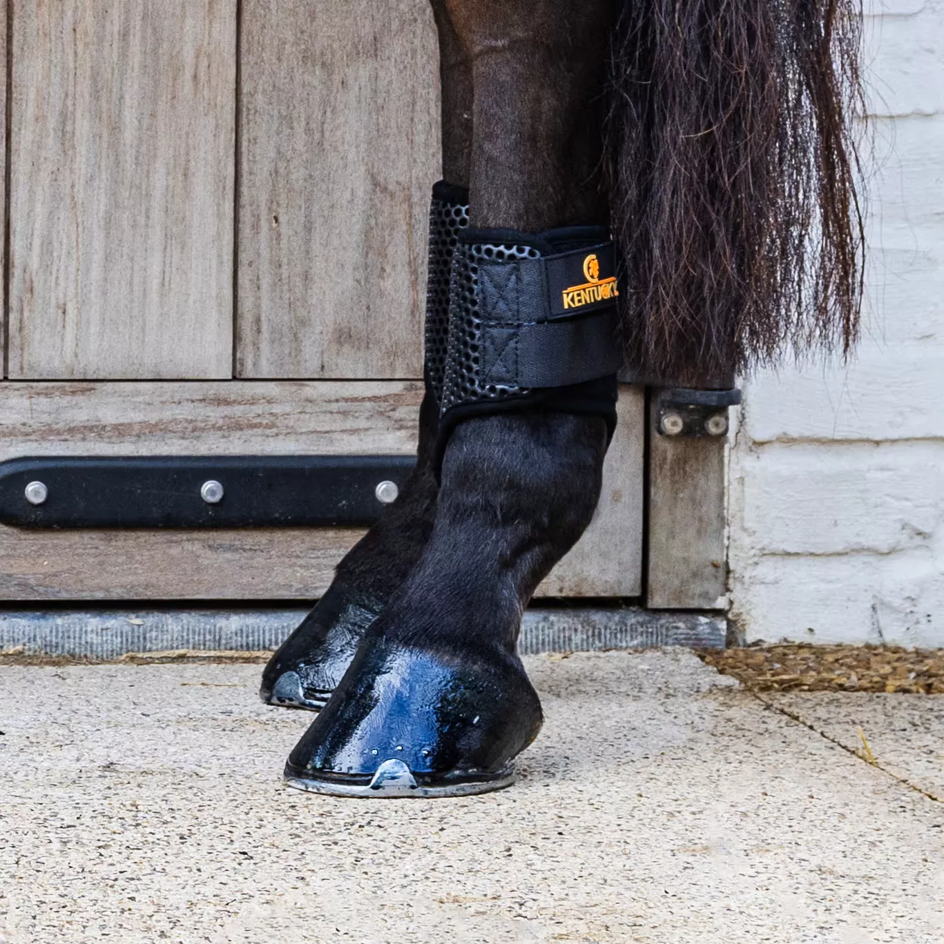 Turnout Boots ProAir Short