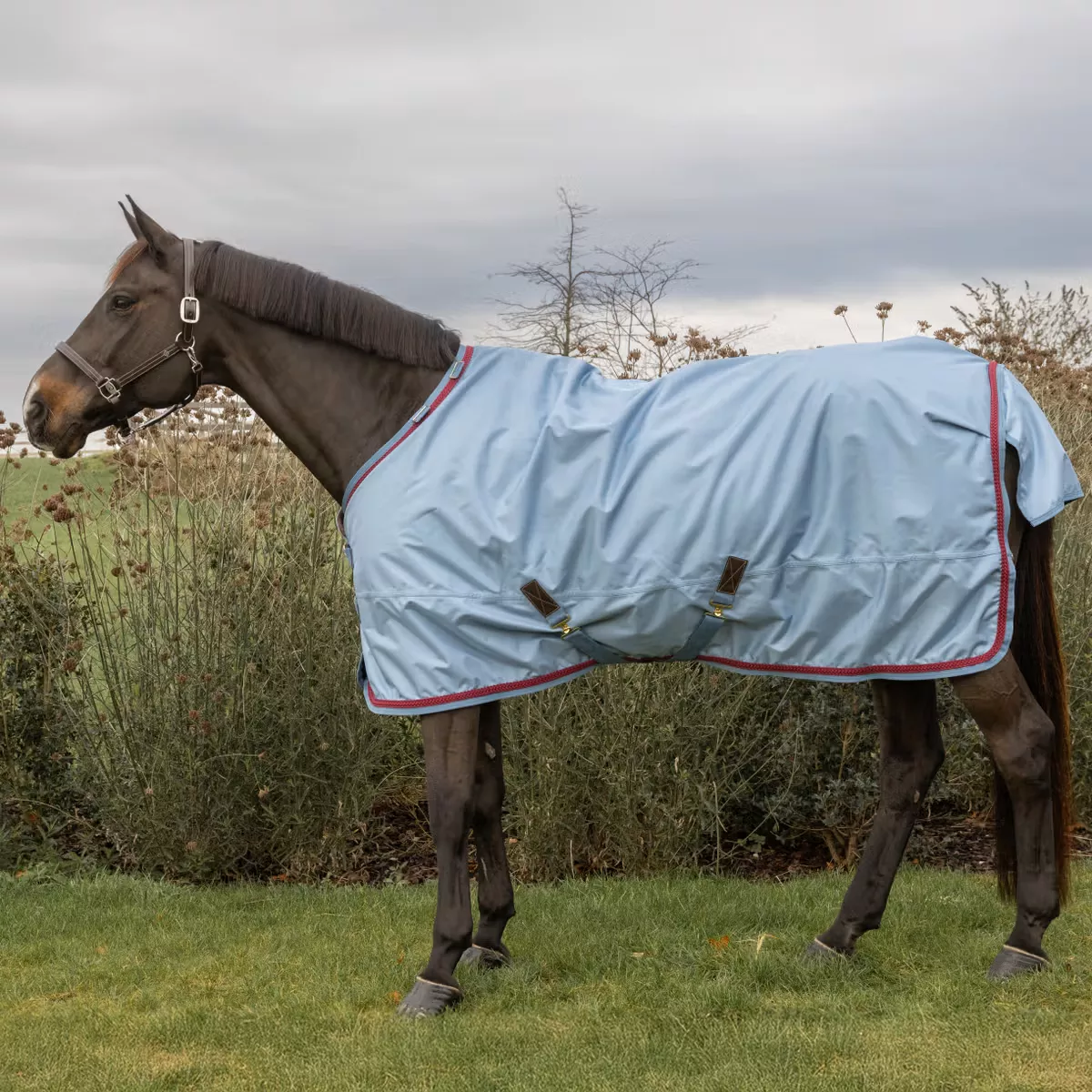 Turnout Rug all Weather Pro with Braided Cord
