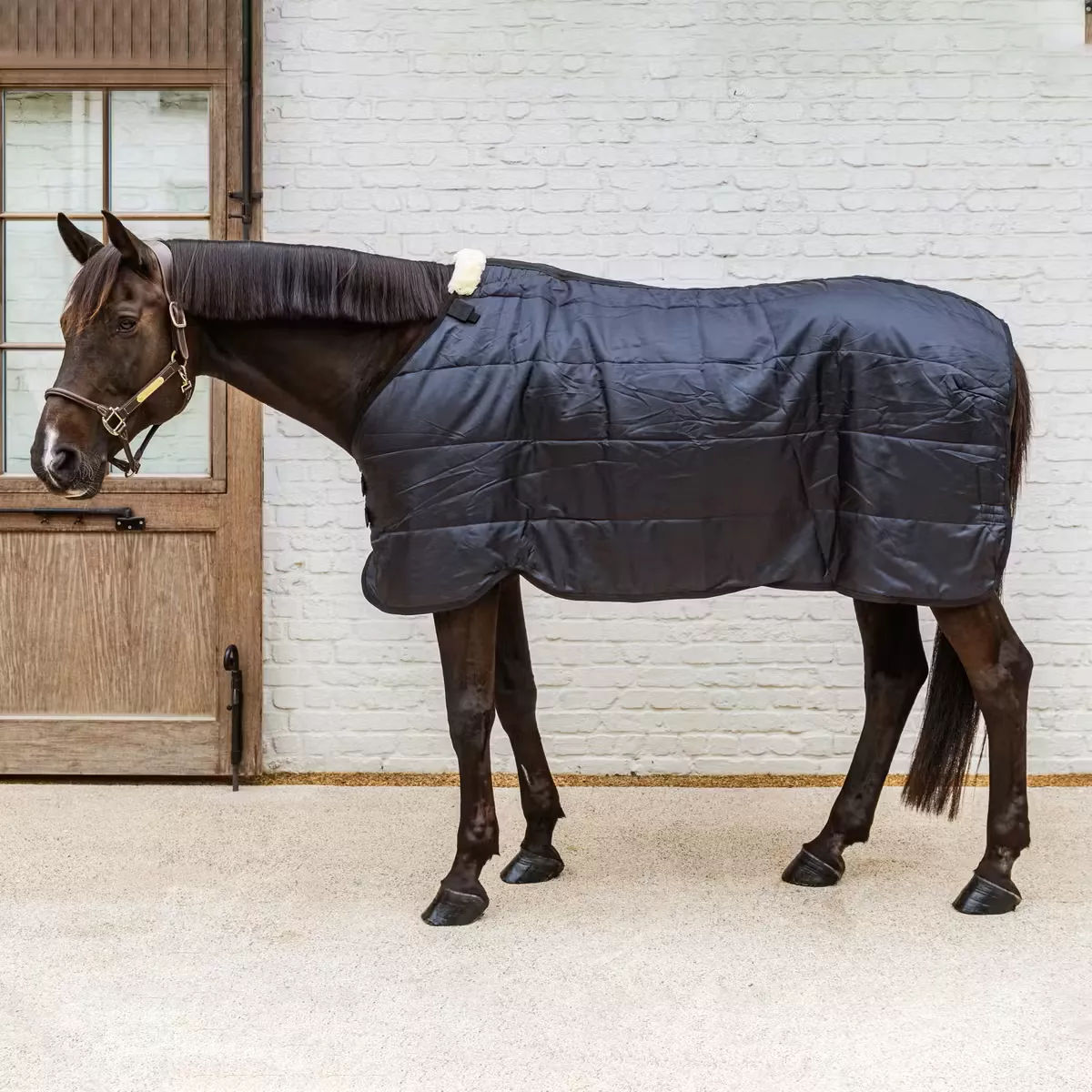 Turnout Rug Comfort Liner 300gr
