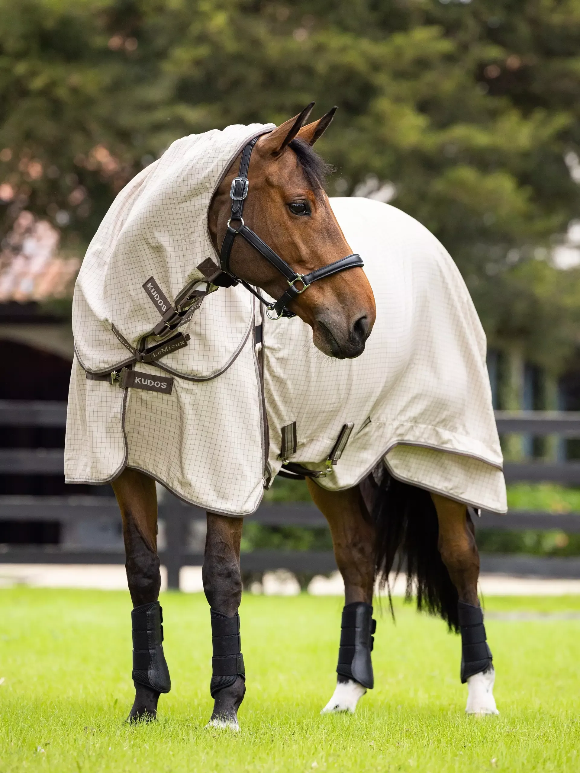 Turnout Rug Kudos Stone