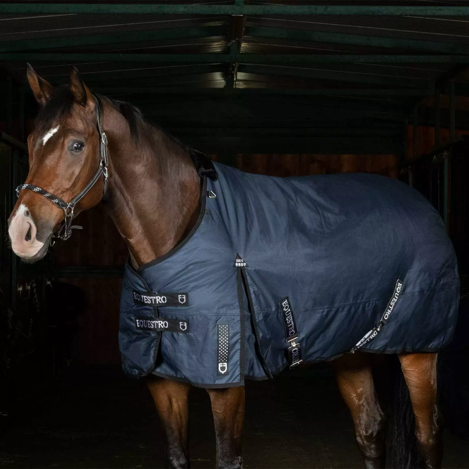 Turnout Rug Nevada 250gr.