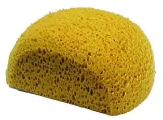 Turtle Back Sponge