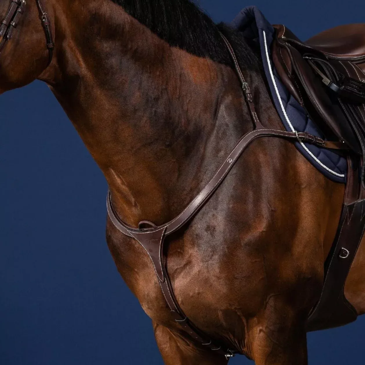 US Collection Long Bridge Breastplate