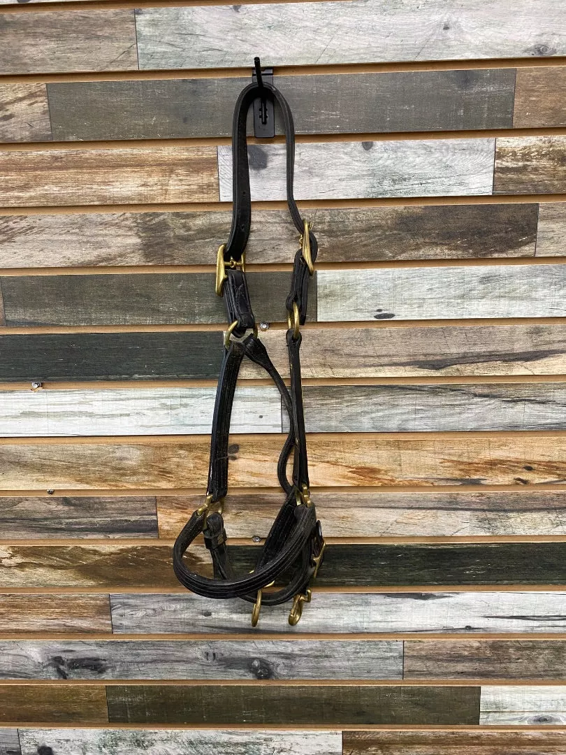 USED Walsh Leather Halter with Nameplate Full Black