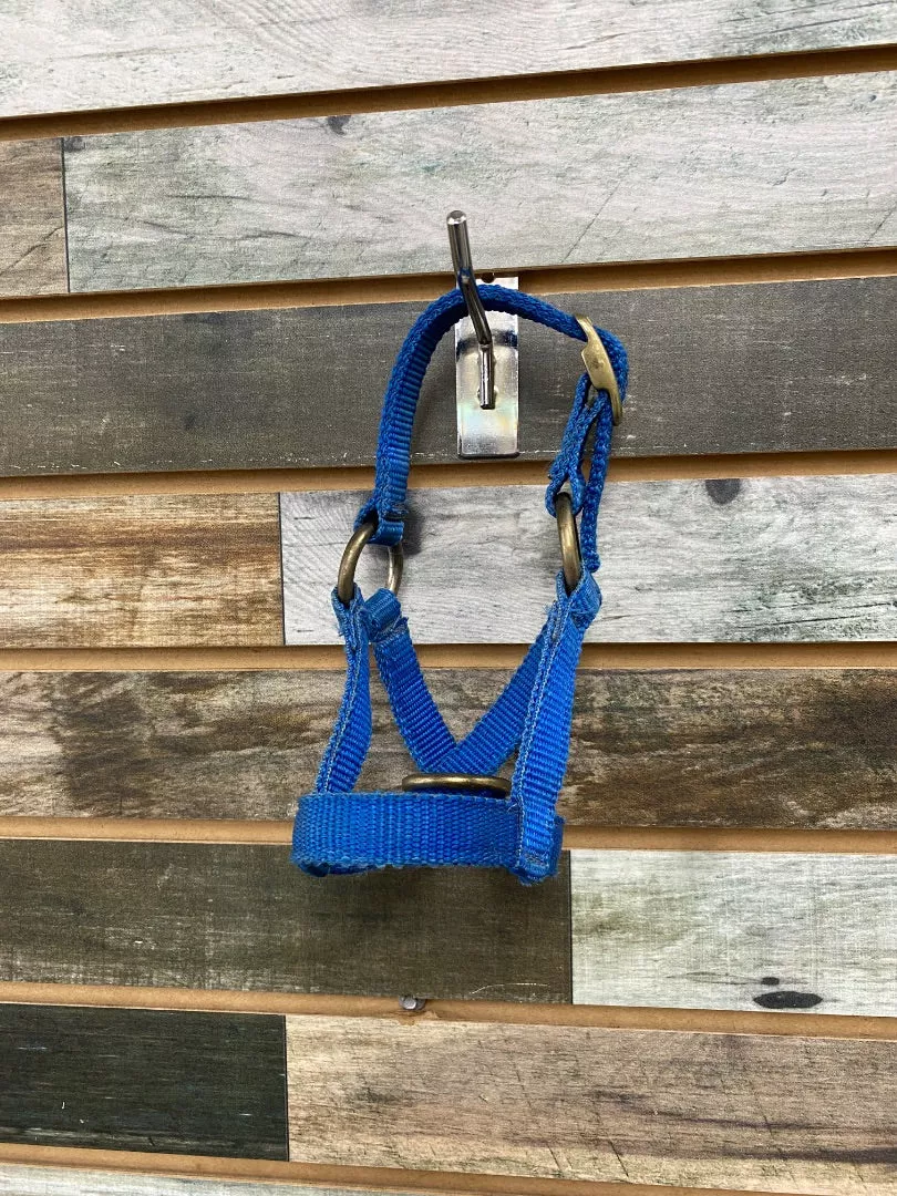 USEDNylon Halter Foal Blue