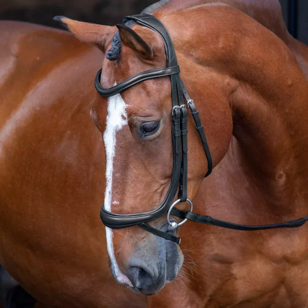 Velociti RAPIDA Ergonomic Cavesson Bridle with Flash