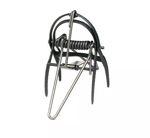 Victor Mole Trap