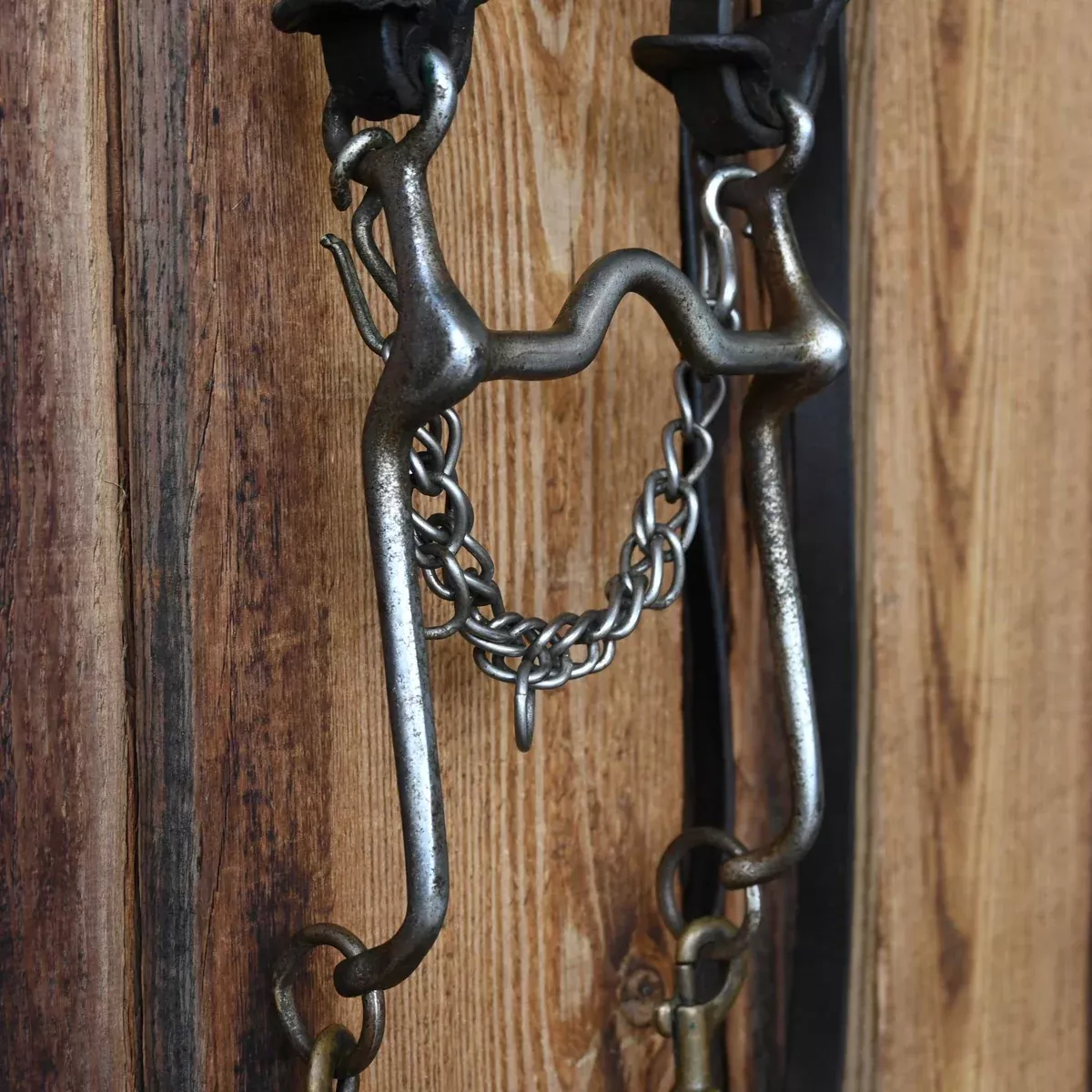 Vintage Bridle Rig w/Glass Rossettes