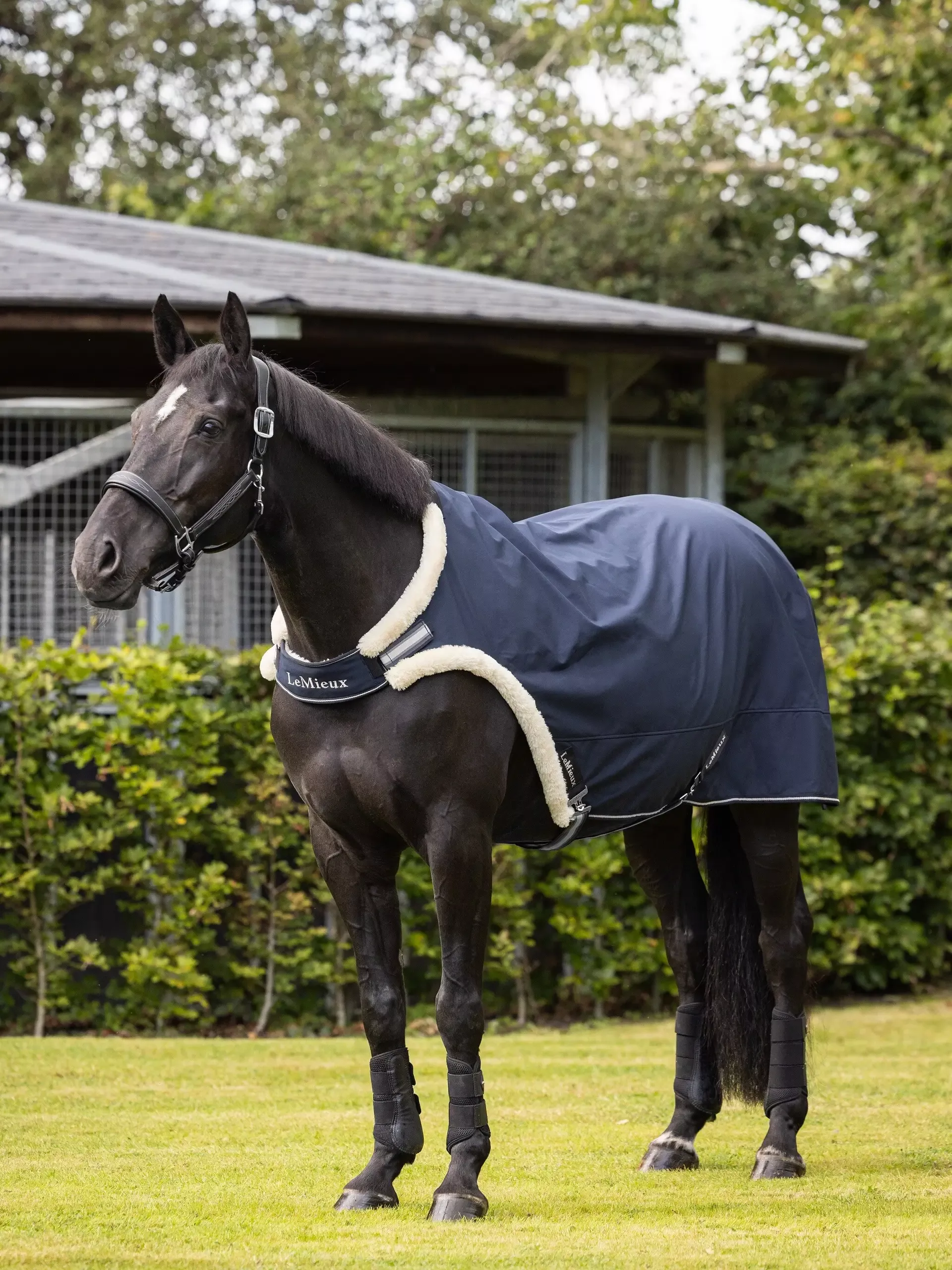 Walker Rug - Navy
