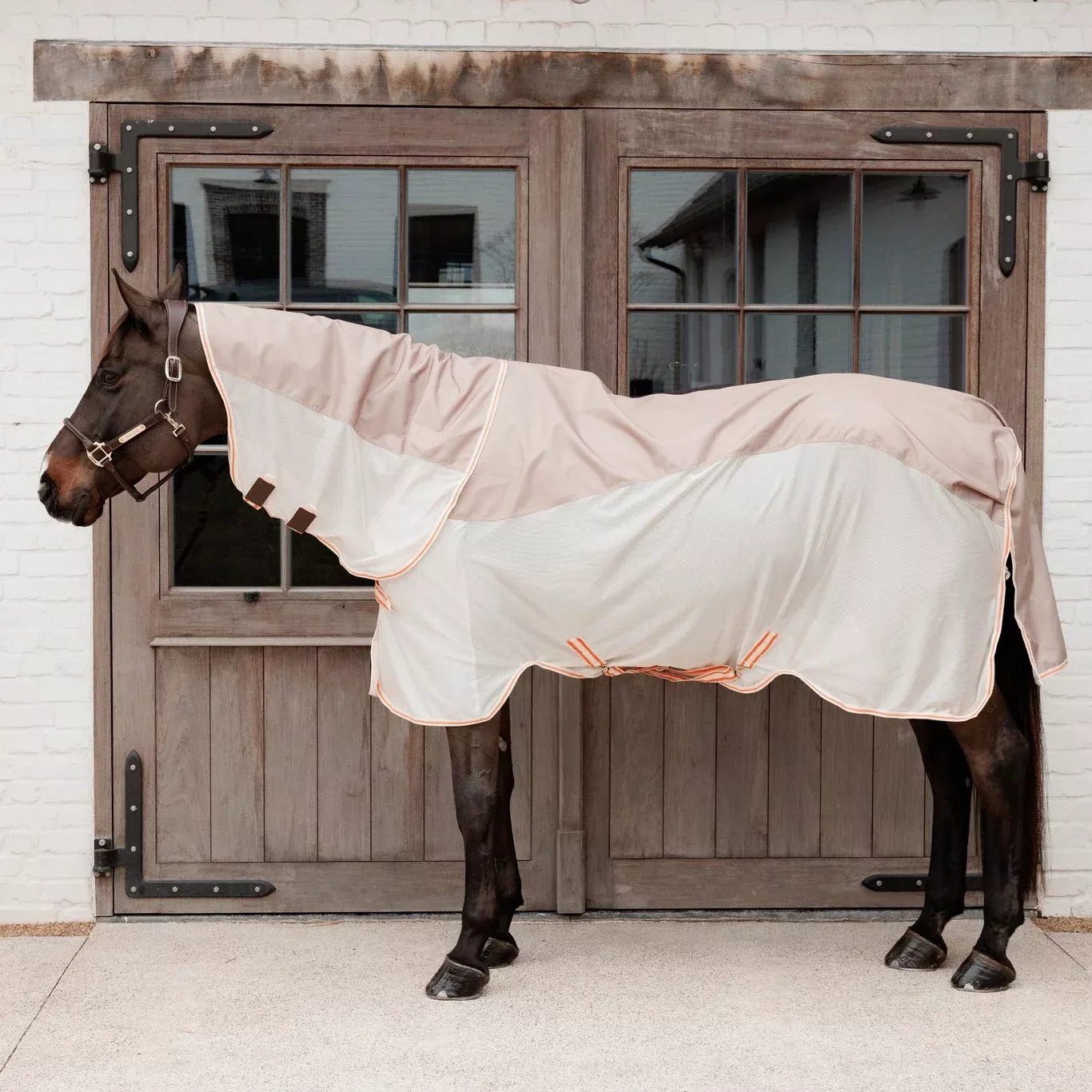 Waterproof Combo Fly Rug Comfort