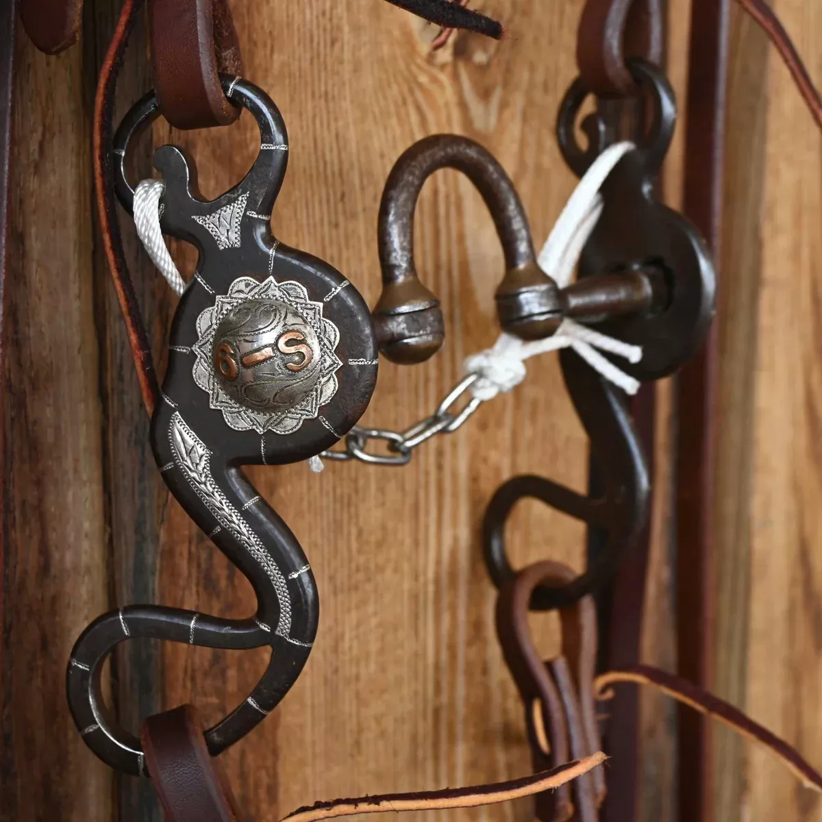 Wayne Dollar & Wayne Dess Silver Mounted Correction Bridle Rig w/All New Leather