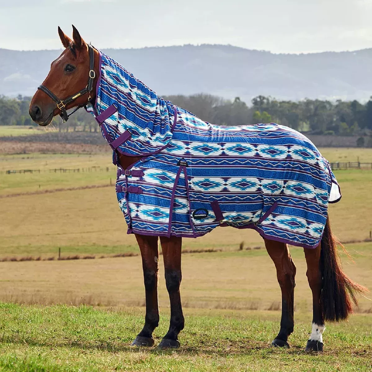 Weatherbeeta ComFiTec Essential Fly Sheet Combo