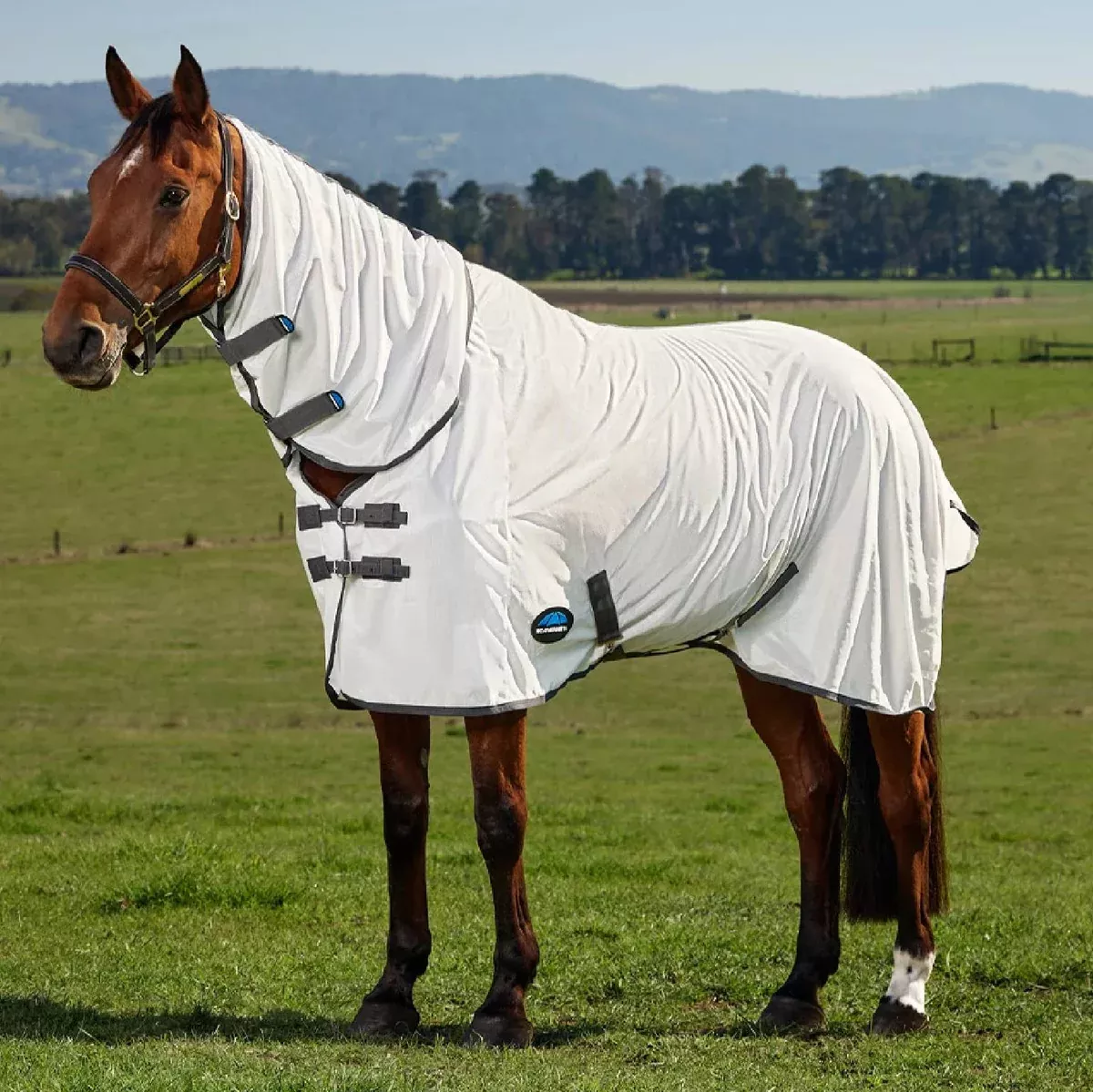 Weatherbeeta ComFiTec Tyro Fly Sheet Combo