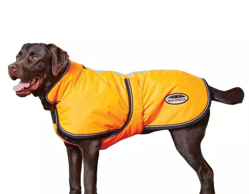 WeatherBeeta Reflective Parka Dog Coat with Belly Wrap