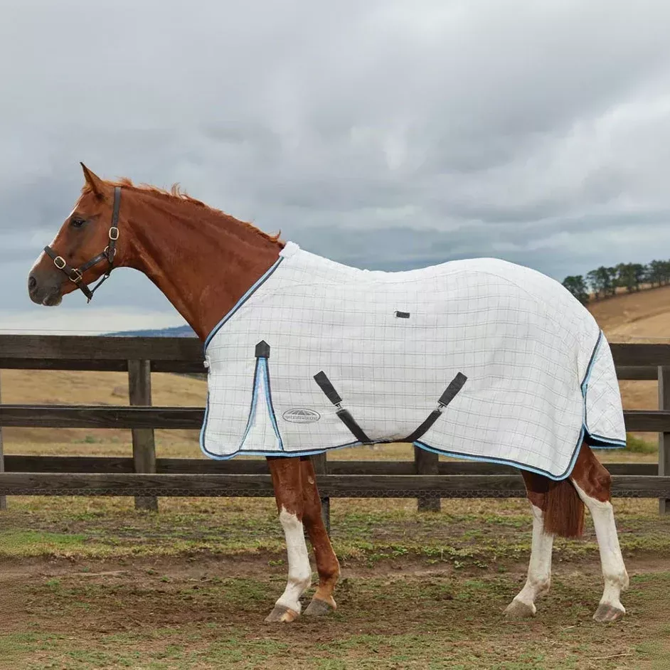 Weatherbeeta Summer Cotton Sheet Standard Neck