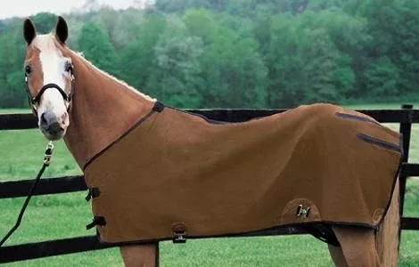 Weaver Basic Canvas Horse Blanket