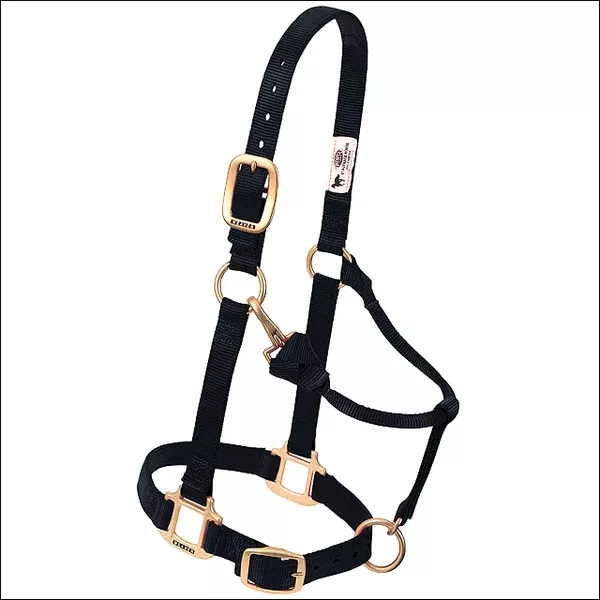 Weaver Black Horse Nylon Heat Sealed Buckle Halter Adjustable Small