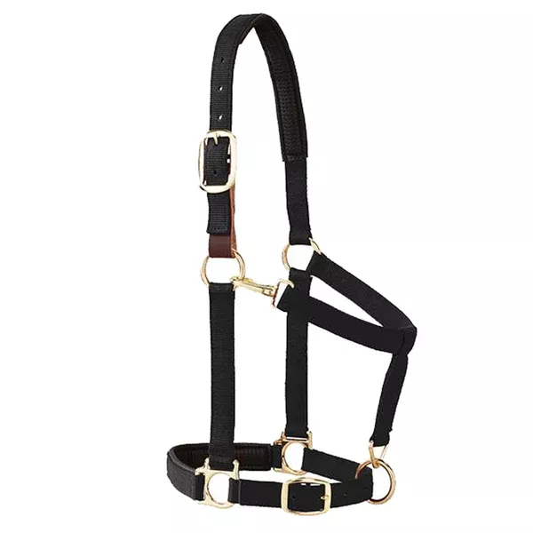 WeaveråÊLeather Horse Padded Breakaway Adjustable Chin Throat Snap Halter
