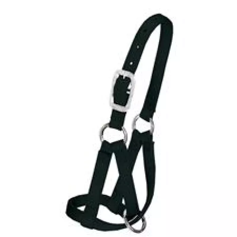 Weaver Llama Halter, 3/4" Medium/Large BLACK