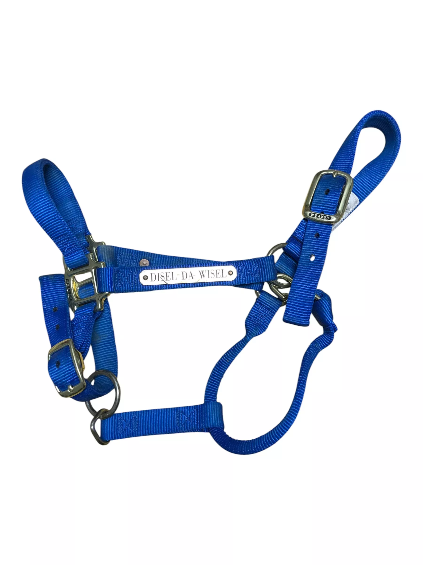Weaver Nylon Halter - Blue - Average Horse - USED
