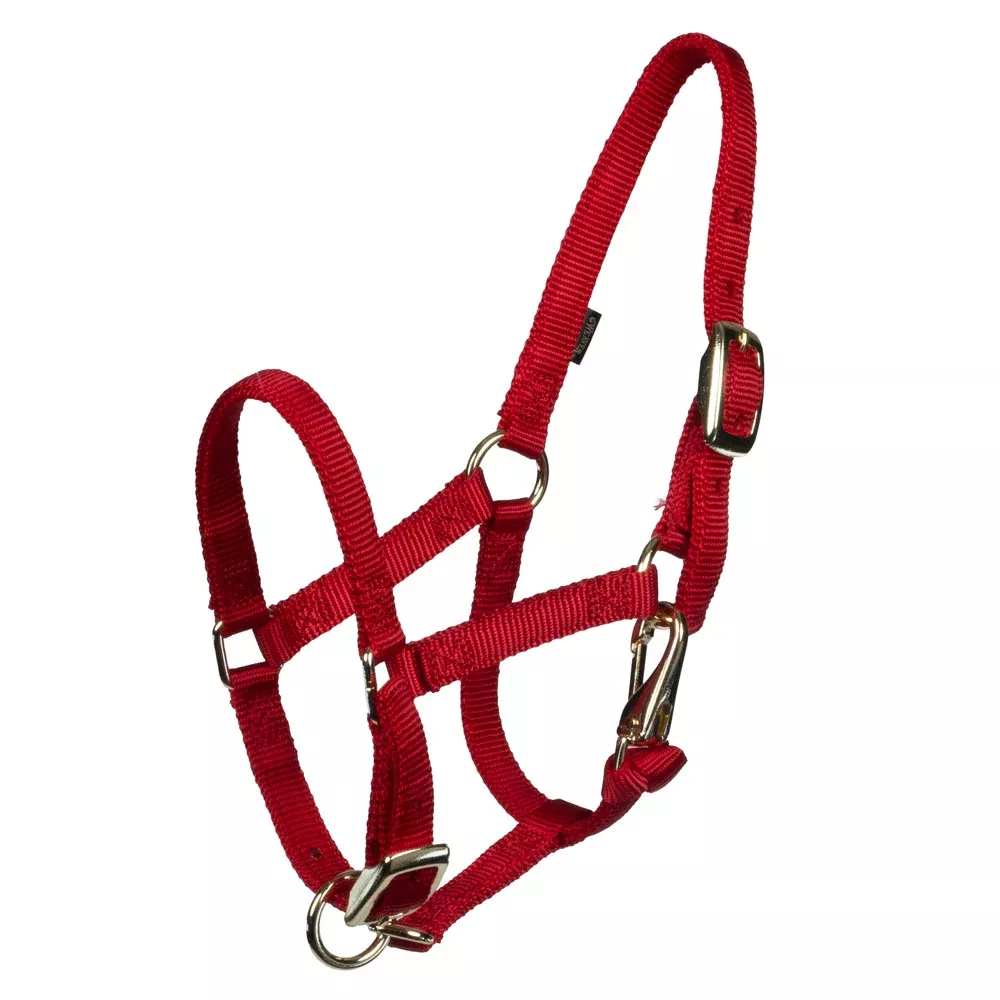 Weaver Original Nylon Draft Horse Halter w/Adjustable Chin & Throat Snap