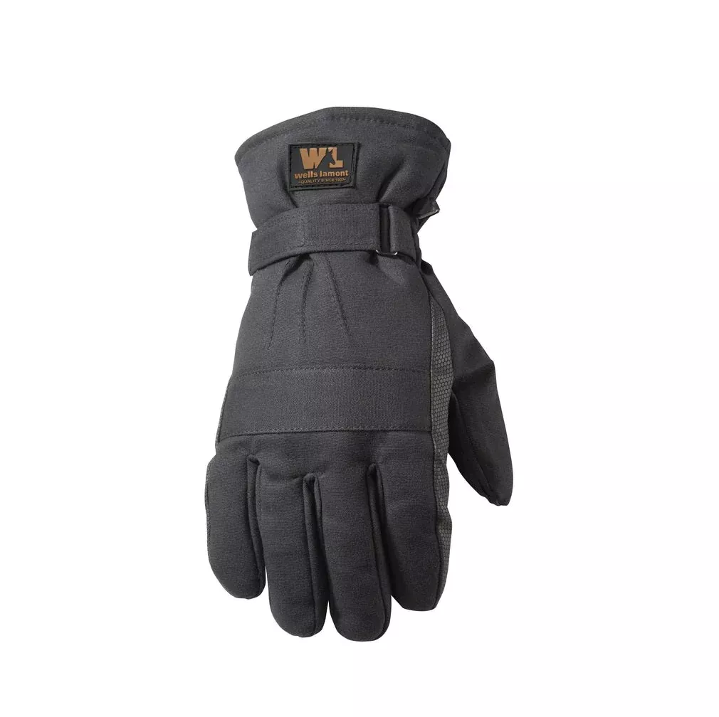 Wells Lamont Thinsulate-Lined Gloves, Large