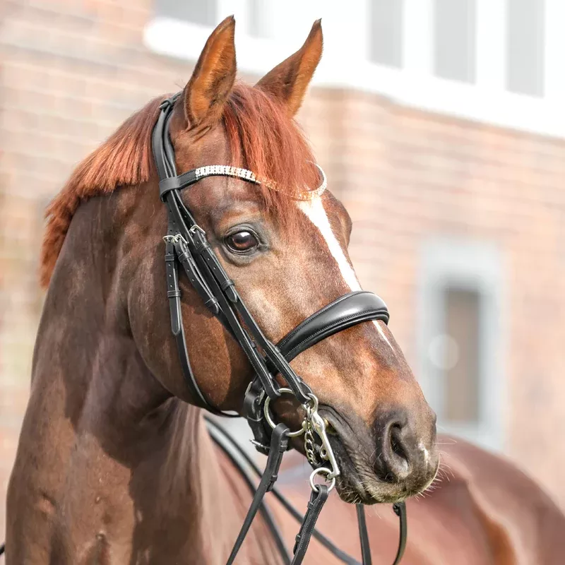 Weymouth Bridle "Sonya" Crank Noseband