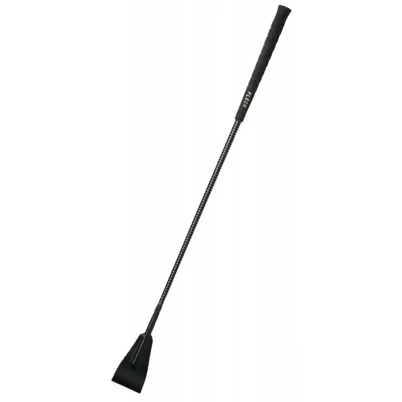 Whip with Golf Handle