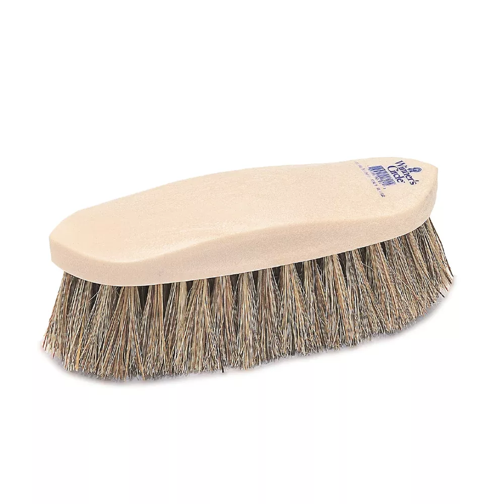 Winner's Circle Brush - 8 1/4 - Union Fiber Champion Brush 701