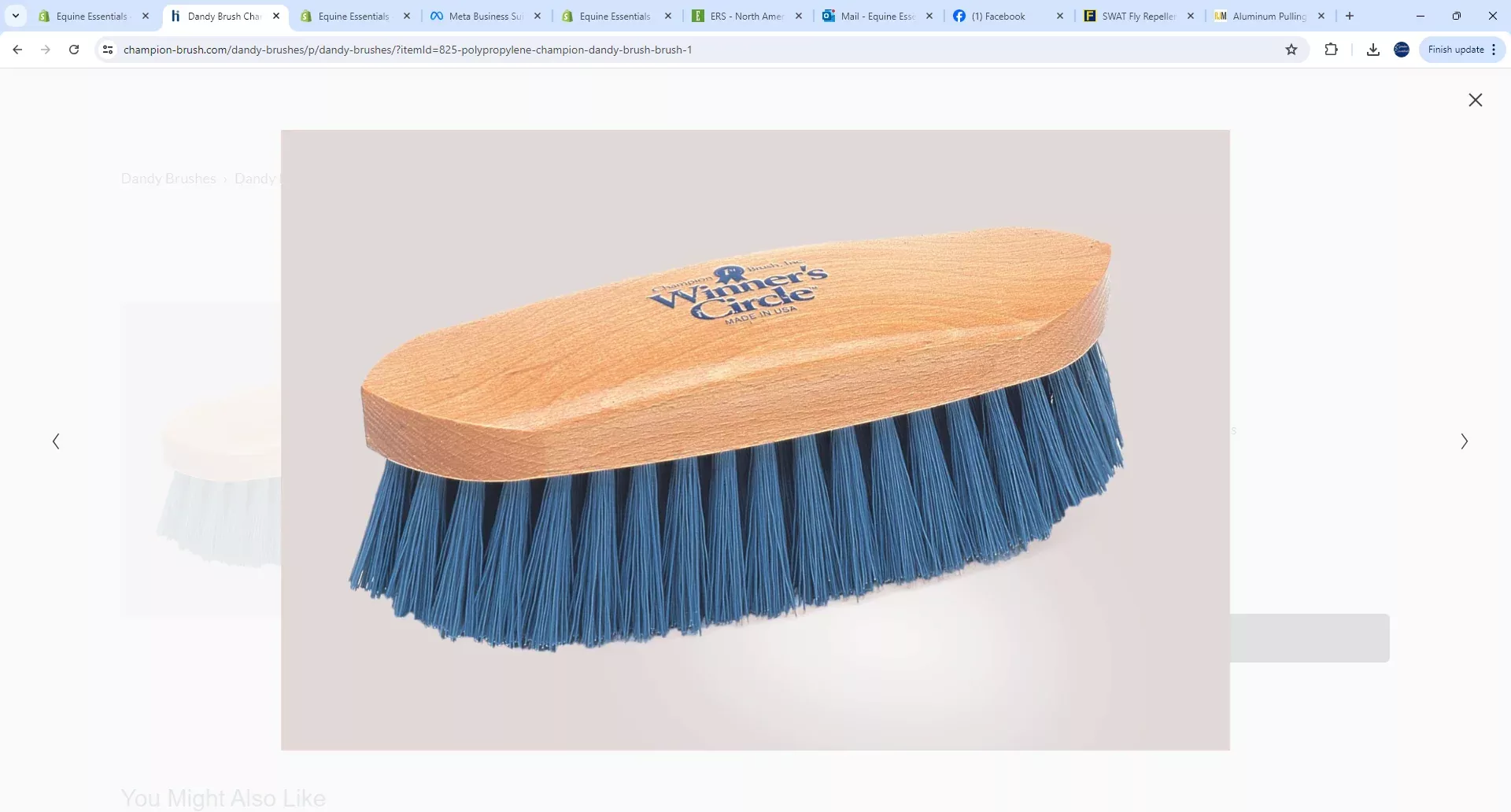 Winner's Circle Brush -Medium Slate Poly 107